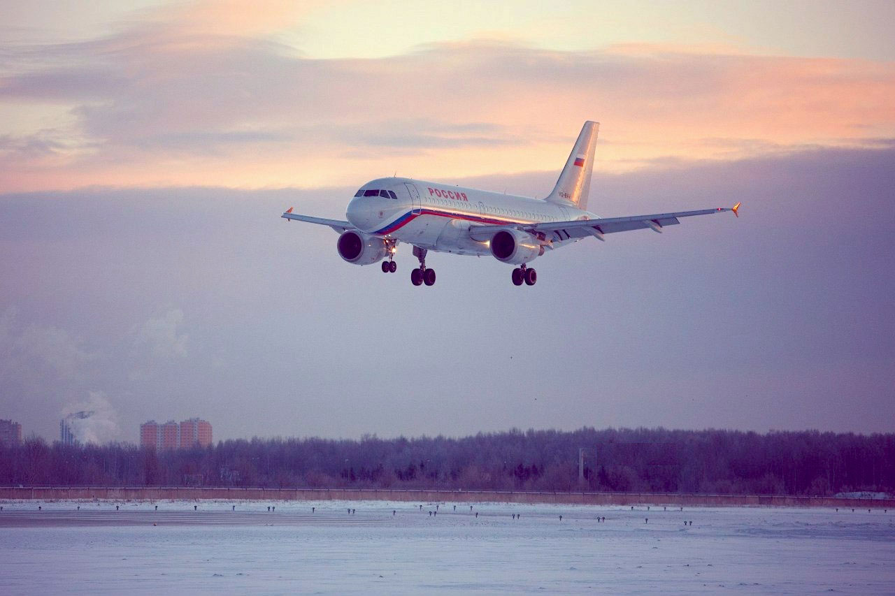 В России разработали систему орнитологической безопасности полетов для аэропортов